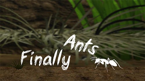 download Finally ants apk